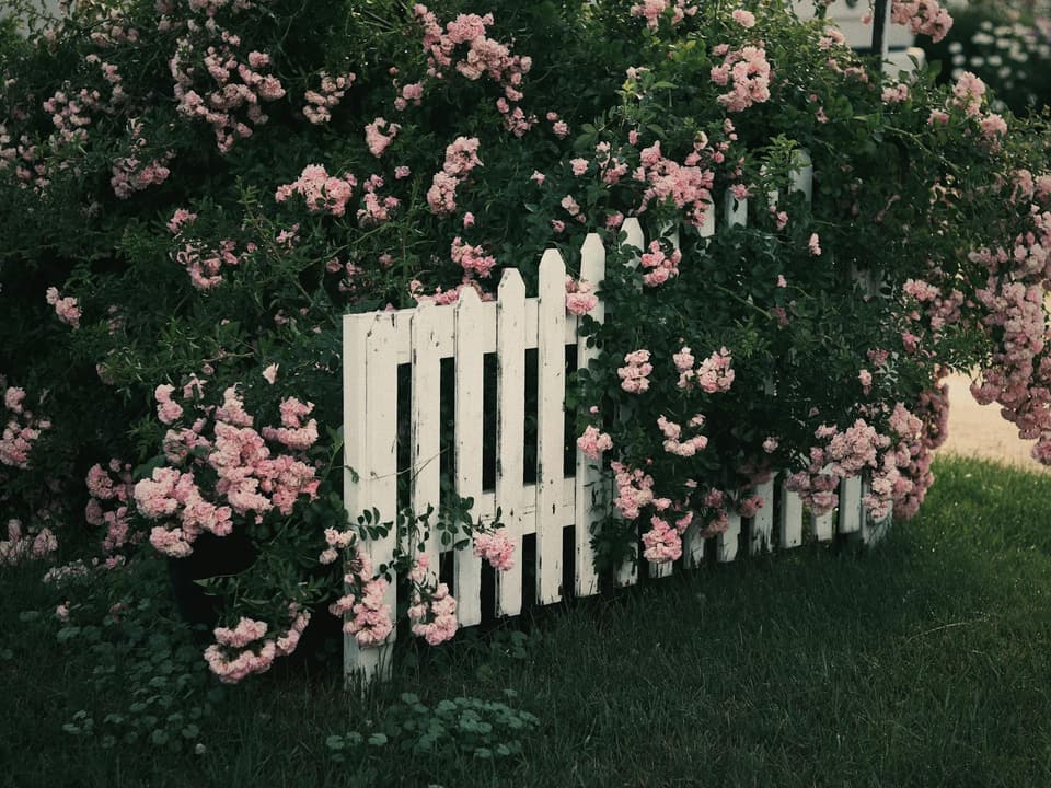 Flower Bed Fence