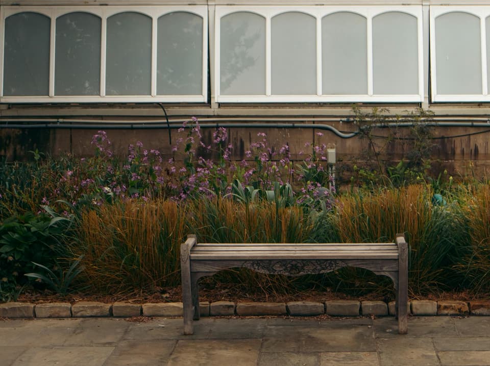 Garden Bench