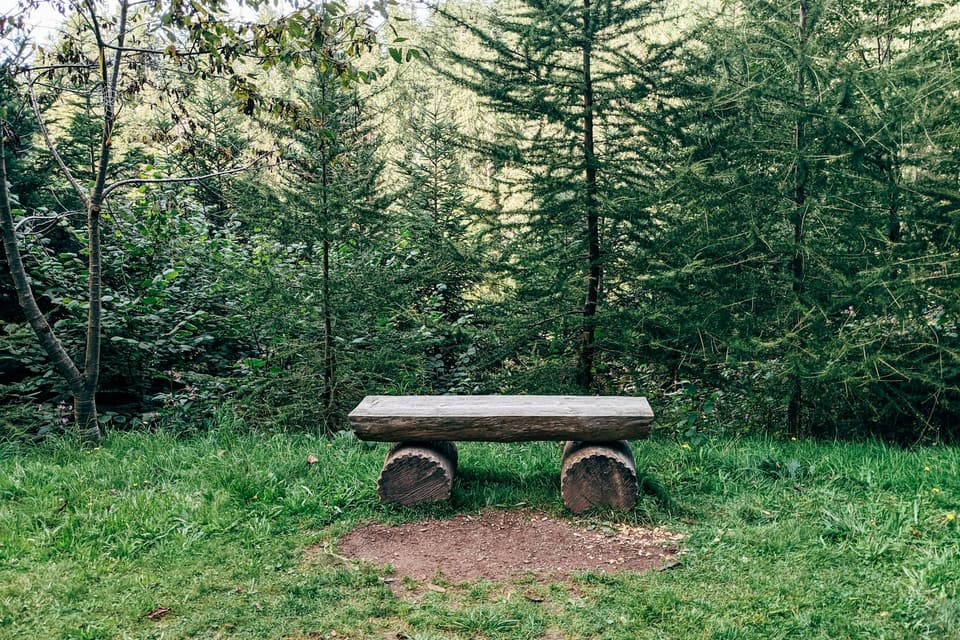 Bench with Backrest