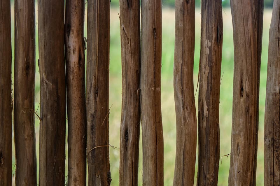 Bamboo Fence