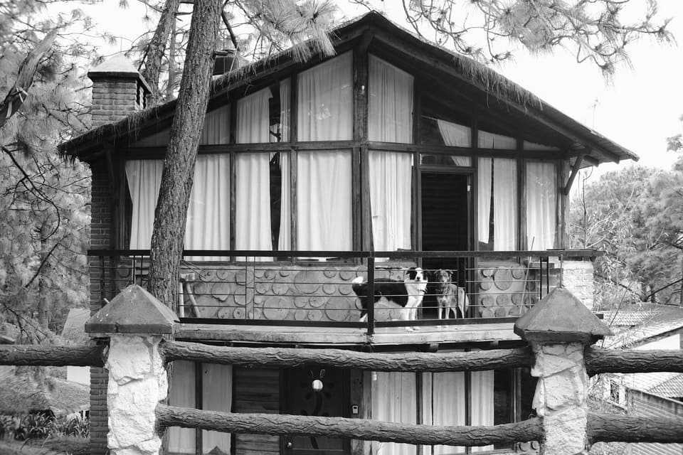 Dog House with Porch