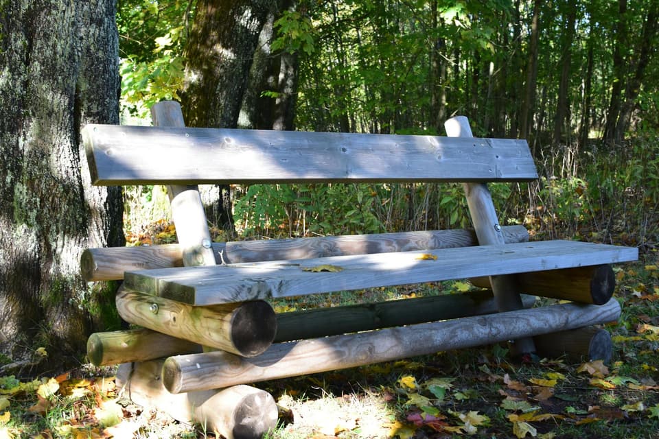 Park-Style Bench