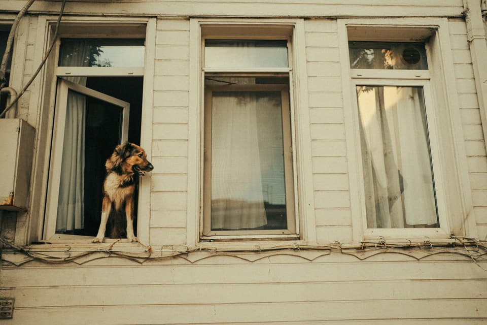 Dog House with Porch