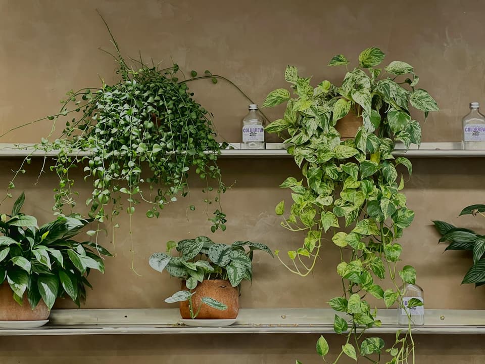 Kitchen Hanging Shelf
