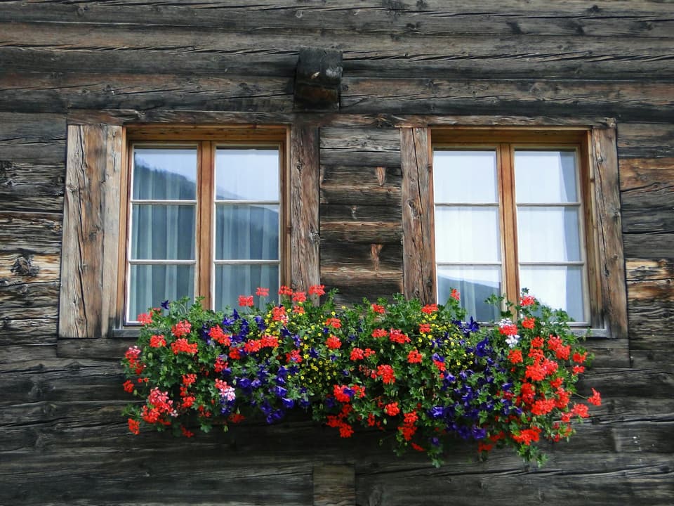 Hanging Flower Box
