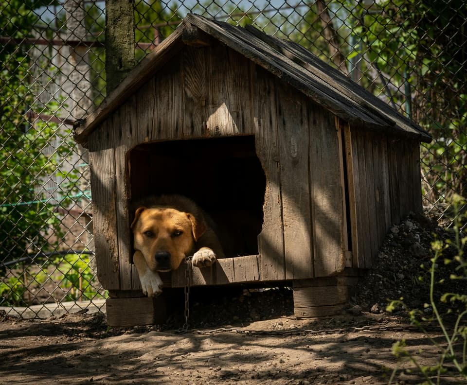 Folding Dog Crate Cover