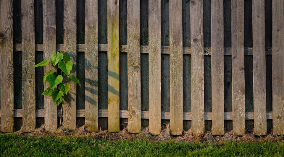 Tall Boundary Fence