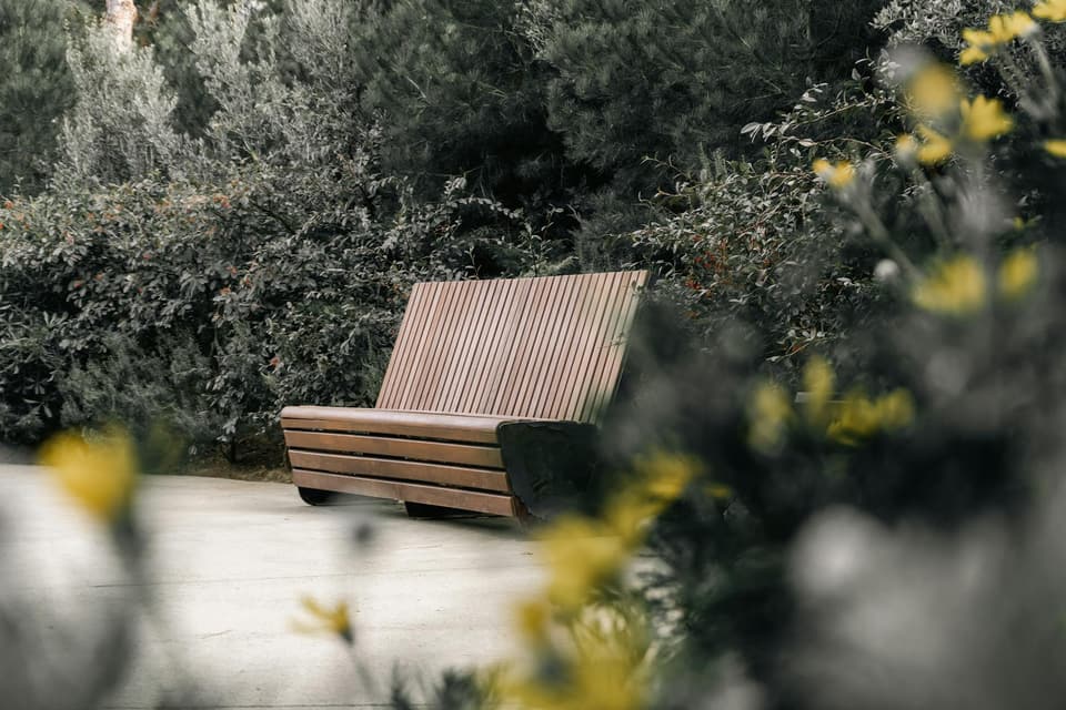 Bench with Backrest