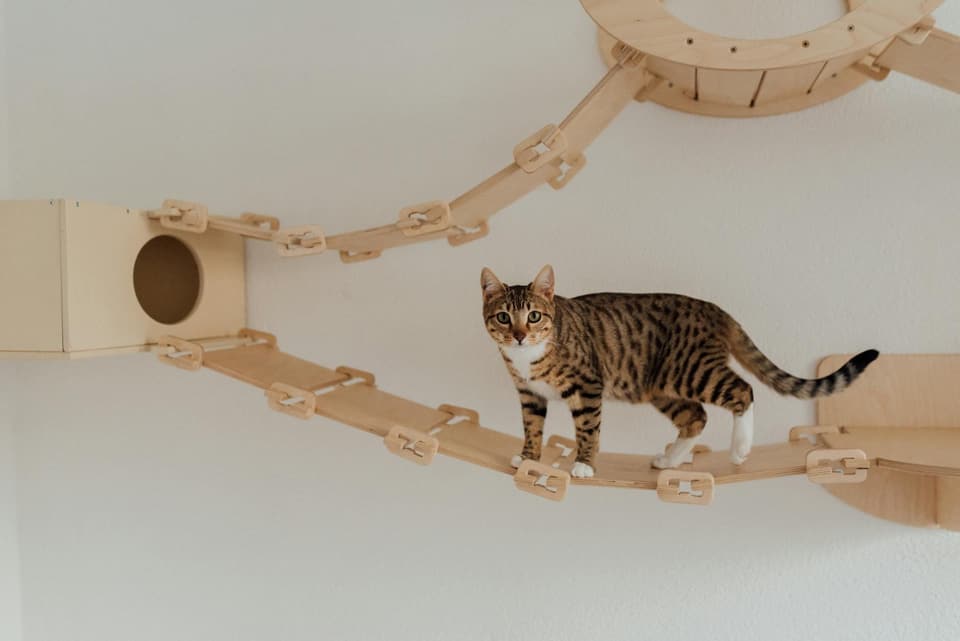 Cat Tower with Hideout