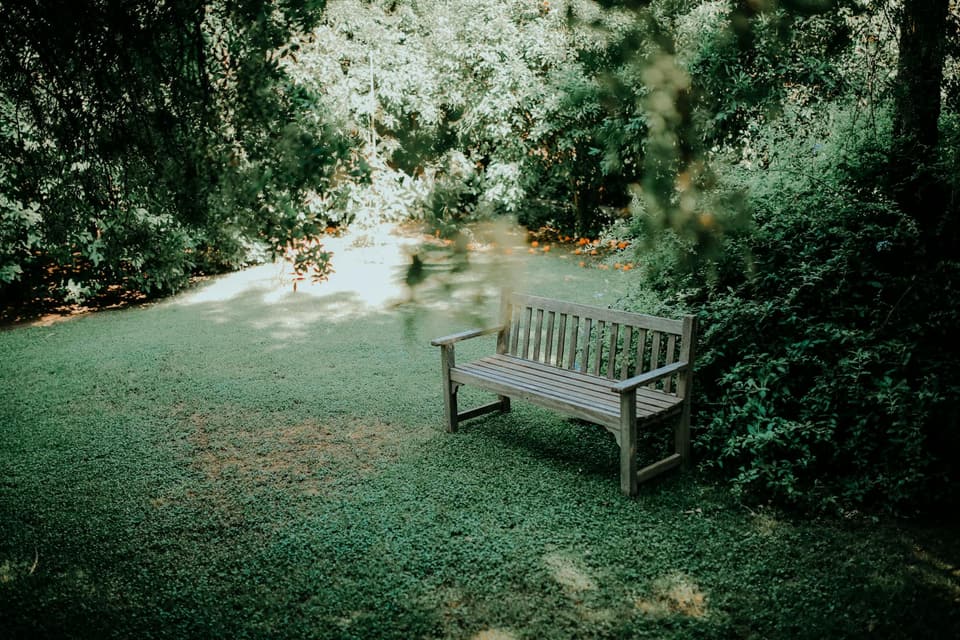 Picnic Bench