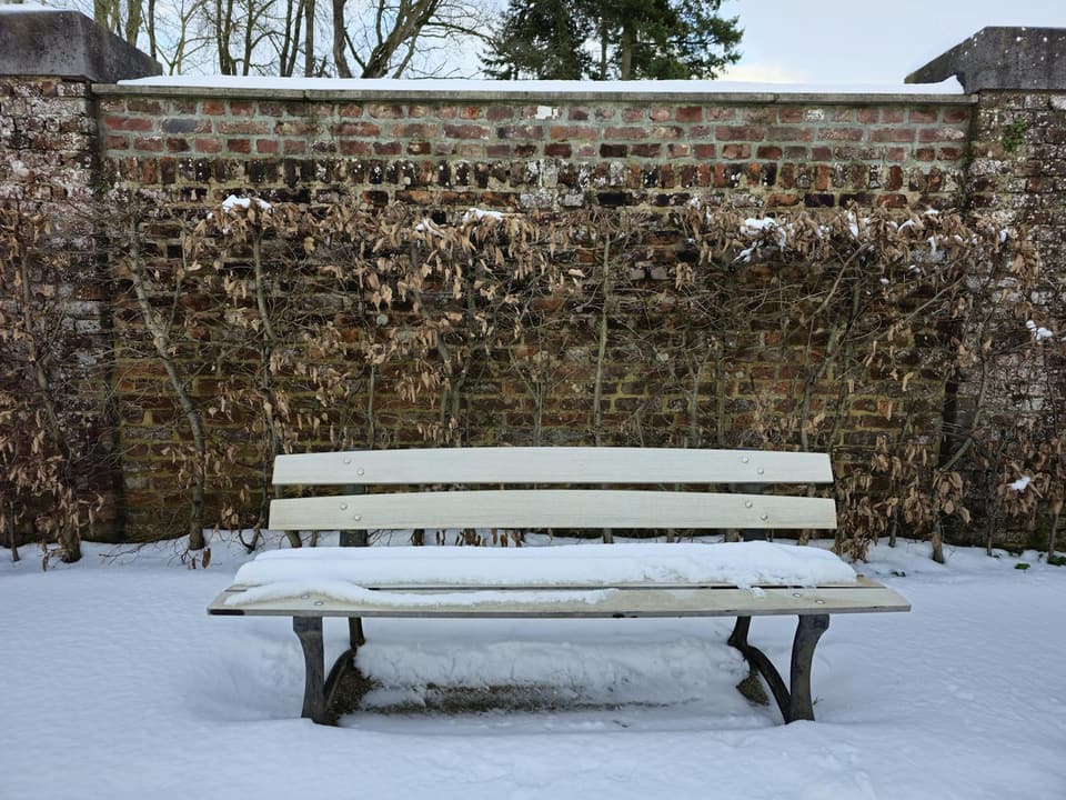 Park-Style Bench