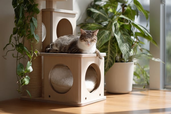 シンプルキャットタワーのDIY設計図