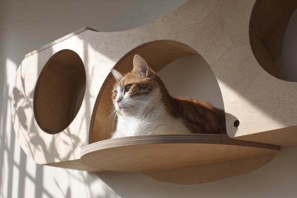 壁面一体型キャットタワーのDIY設計図