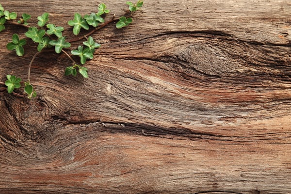 ウッドサイン看板のDIY設計図