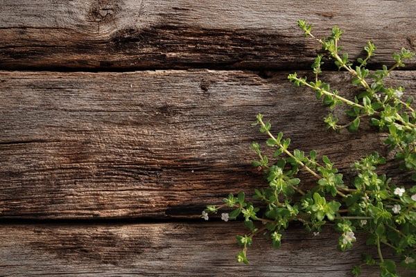 メニューボードのDIY設計図