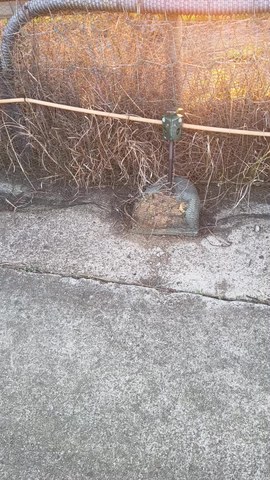 VID_20260407_183825389.mp4