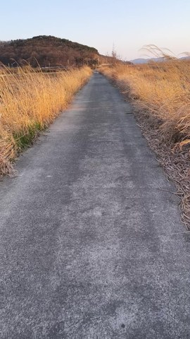 VID_20260407_183348420.mp4