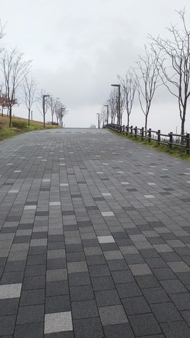 VID_20260409_155744358.mp4