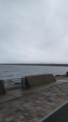 VID_20260410_094157292.mp4