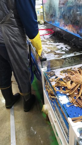 VID_20260411_170208383.mp4