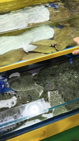 VID_20260411_170434294.mp4