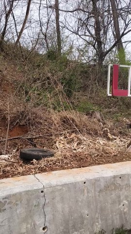 VID_20260411_114358241.mp4