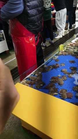 VID_20260411_170154033.mp4