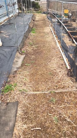 VID_20260411_104517581.mp4