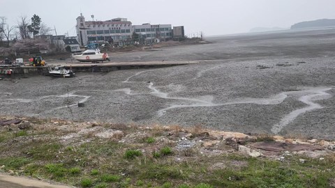 VID_20260411_114142826.mp4