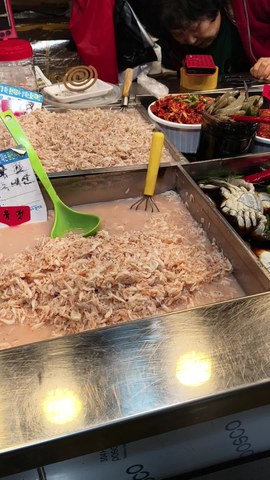 VID_20260411_170339887.mp4