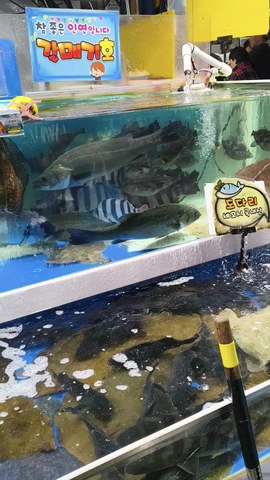 VID_20260411_170306639.mp4