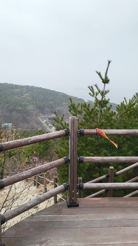 VID_20260411_133335158.mp4