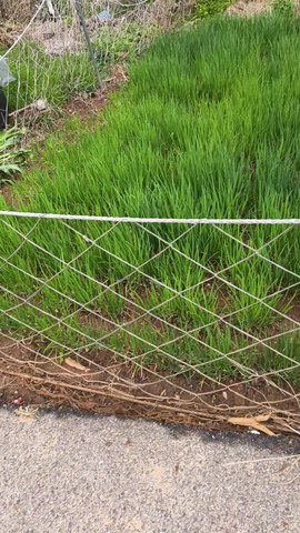 VID_20260411_085631725.mp4