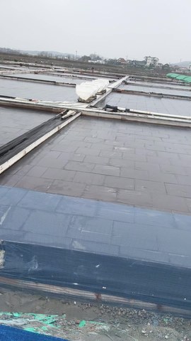 VID_20260411_110306371.mp4