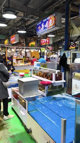 VID_20260411_170055392.mp4