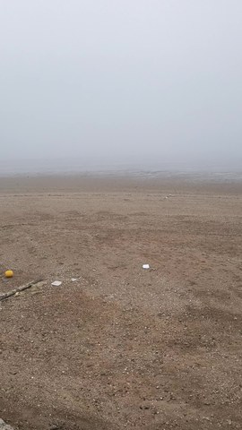 VID_20260412_072235050.mp4