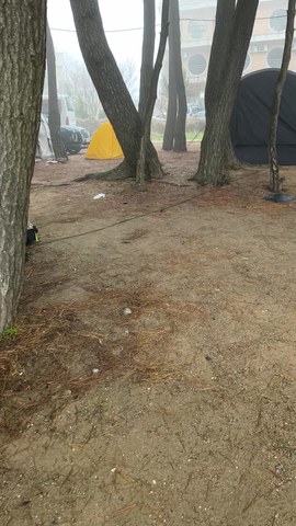 VID_20260412_071855526.mp4