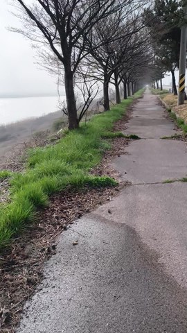 VID_20260412_084403675.mp4