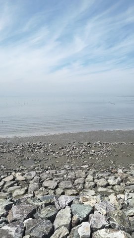 VID_20260412_120838823.mp4