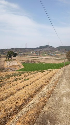 VID_20260414_151345733.mp4