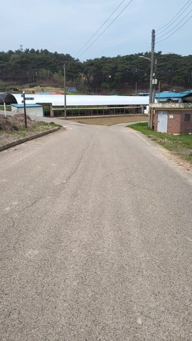 VID_20260414_111950053.mp4