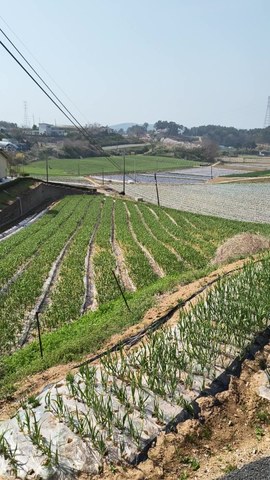 VID_20260414_151813612.mp4