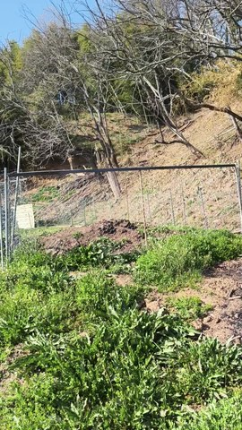 VID_20260414_153022774.mp4