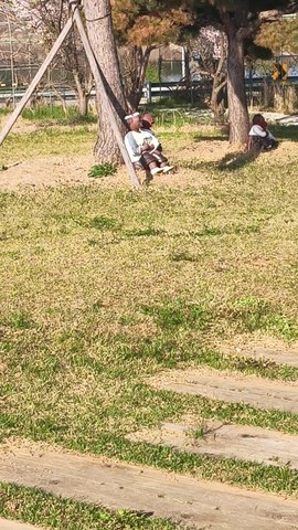 VID_20260416_165939512.mp4