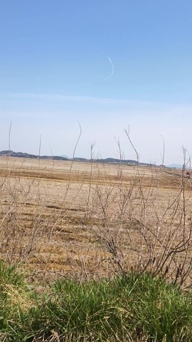 VID_20260416_094306766.mp4