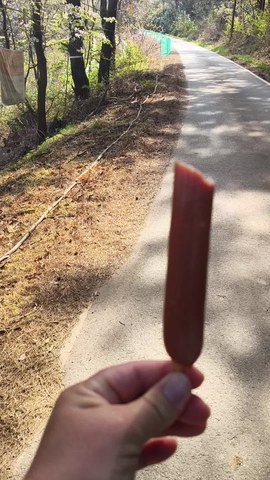 VID_20260416_091651051.mp4