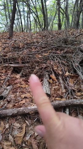 VID_20260417_063215637.mp4