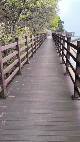 VID_20260417_072036687.mp4