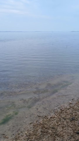 VID_20260417_064417863.mp4