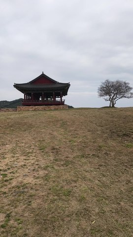 VID_20260417_095827474.mp4